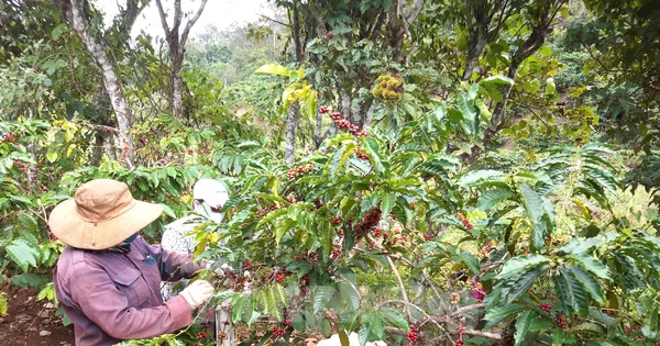 Điểm tựa giúp người nghèo phát triển kinh tế
