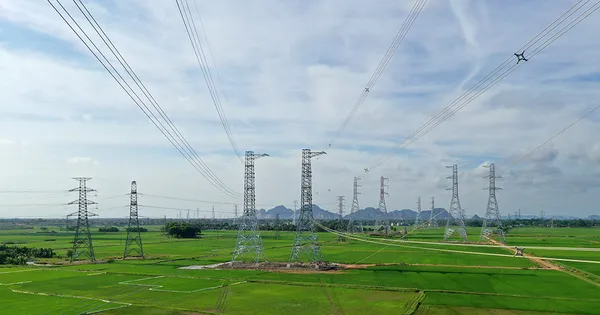 tienphong.vn