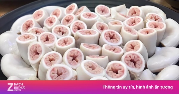 Hàng nghìn con heo mới có 1 con có lòng xe điếu, nhưng chỉ dài khoảng 1 m