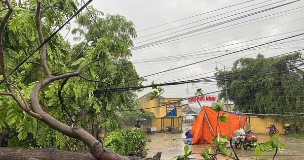 Mưa lớn, lốc xoáy tại Tuyên Quang và Lào Cai làm sập, tốc nhiều nhà dân