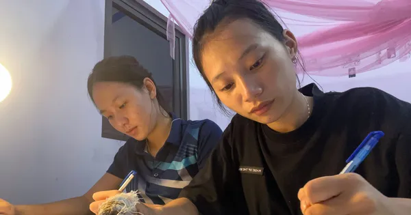 Ấm lòng bữa ăn, chỗ ở miễn phí hỗ trợ thí sinh vùng cao Hà Giang