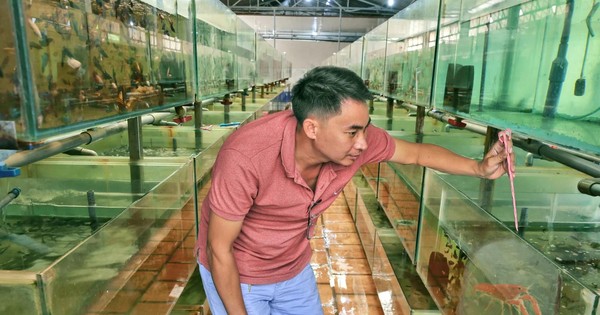 Đây là nghề hot sau sáp nhập tỉnh Bà Rịa-Vũng Tàu, Bình Dương với TPHCM