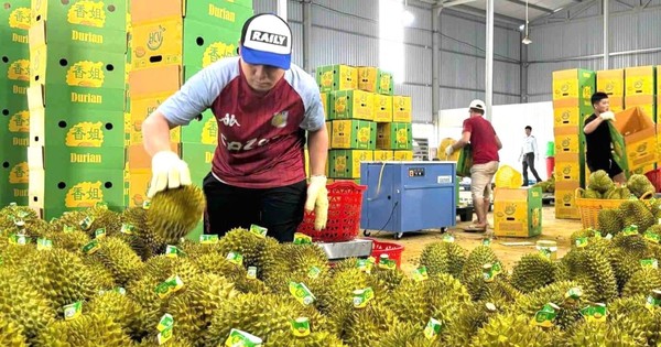 Thủ tướng chỉ đạo "nóng" về xuất khẩu sầu riêng...