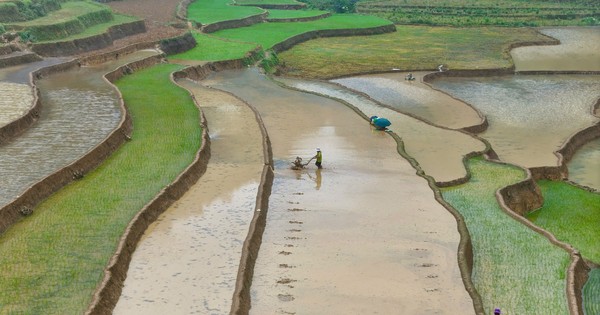 Mê mẩn những thửa ruộng như gương trời in bóng mây bay ở Bắc Hà