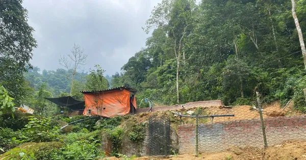 Kịp thời sơ tán 77 người dân trước sạt lở đất ở Lào Cai