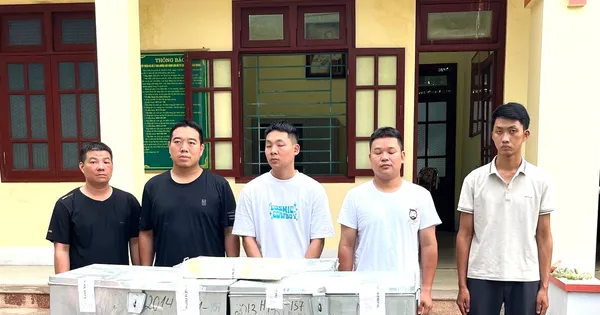 Triệt phá đường dây vận chuyển hơn 2,3 tạ bạc tinh khiết qua biên giới