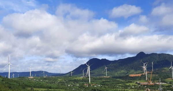 Chấm dứt chủ trương đầu tư 5 dự án điện gió chậm tiến độ tại Quảng Trị