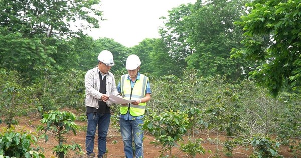 Dự án điện gió hơn 2.000 tỷ đồng ở Quảng Trị vướng giải phóng mặt bằng, huyện sẽ cưỡng chế thu hồi đất