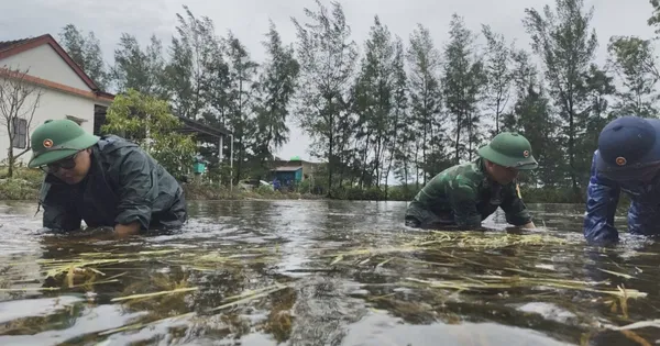 Bộ đội giúp người dân vùng biên khắc phục hậu quả mưa lũ