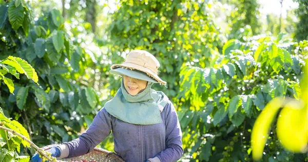 Nestlé tiên phong lan tỏa thói quen tiêu dùng xanh, hướng tới tương lai phát triển bền vững