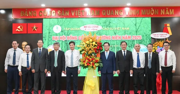 Tập đoàn Công nghiệp Cao su Việt Nam chia cổ tức 1.600 tỷ đồng