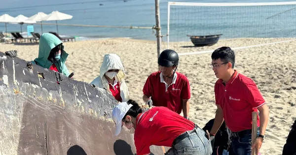 Cán bộ nhân viên SeABank chung tay làm sạch 11 bãi biển vì môi trường xanh