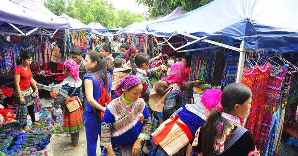 Học sinh phổ thông trải nghiệm văn hóa bản địa và trồng cây vì Việt Nam bền vững