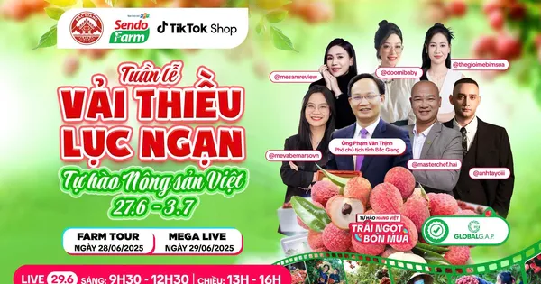 Vải thiều đã chín đỏ trên siêu thị online Sendo Farm và phiên live đặc biệt với Phó chủ tịch Bắc Giang