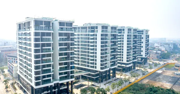 Sunshine Group livestream đặt giá căn hộ vào 1/7 chỉ với giá khởi điểm bằng 50% giá thị trường