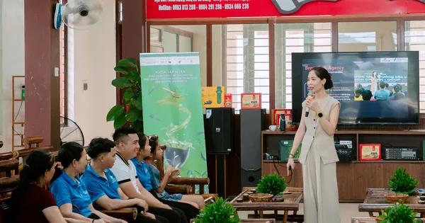 Thái Nguyên: Người dân trồng chè ở La Bằng với niềm vui an cư