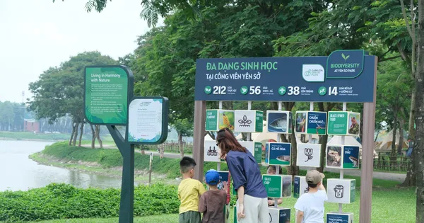 Câu chuyện từ túi hạt giống nhỏ đến 1 triệu cây xanh của Gamuda Land