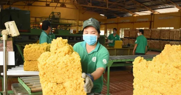 Cao su Đồng Nai – 50 năm dựng xây và phát triển bền vững