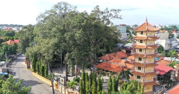 Bình Dương đầu tư trên 320 tỷ đồng xây dựng khu lưu niệm cụ Phó bảng Nguyễn Sinh Sắc
