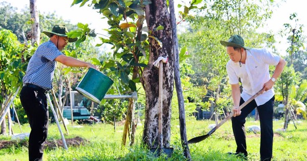 Vườn cây ăn trái của cán bộ, viên chức Bình Dương được xác lập Kỷ lục Việt Nam