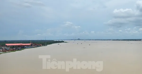 Hơn 4.000 tỷ đồng làm đê bao, kè sông Măng Thít, sông Hậu