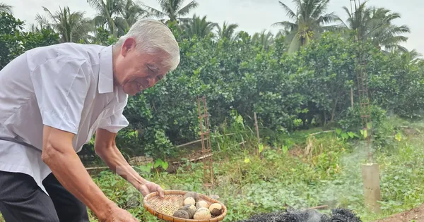 Tận thấy món đặc sản 'ngọc ẩn mình' rất lạ ở bên cồn