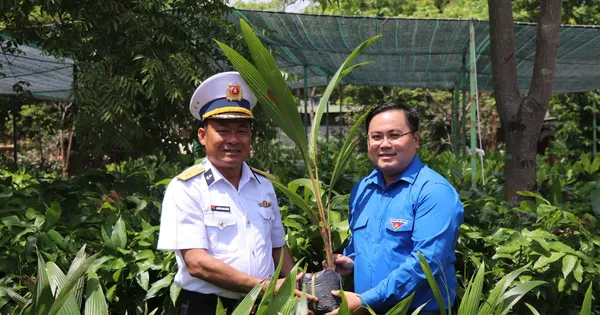 Dừa Bến Tre đến Trường Sa