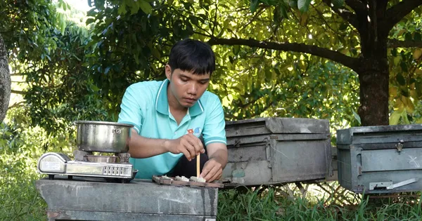 Thanh niên Cần Thơ khởi nghiệp từ nuôi ong