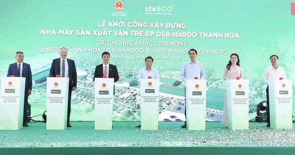 Xây nhà máy sản xuất ván tre ép gần 3.200 tỷ tại Thanh Hóa