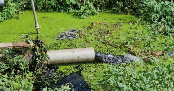 Công an vào cuộc vụ người dân tập trung phản đối trang trại lợn gây ô nhiễm môi trường
