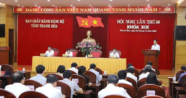 Thanh Hóa kết thúc hoạt động 26 Đảng bộ cấp huyện