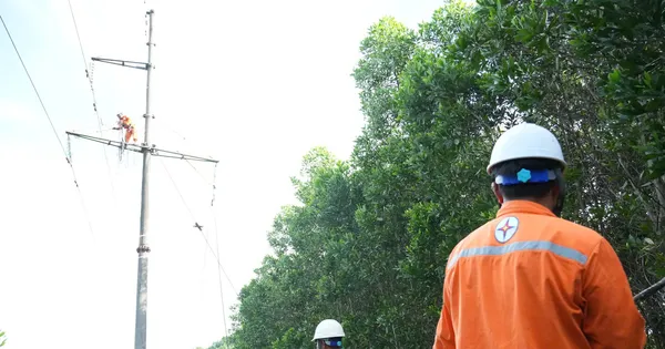 Thanh Hóa: Khai thác cây keo bị đổ vào đường dây gây cháy, chập điện
