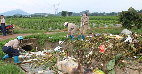 Xác lợn xuất hiện trên nhiều kênh, mương ở Thanh Hóa