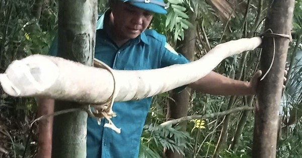Ngủ qua đêm trong rừng, người đàn ông tử vong trên võng