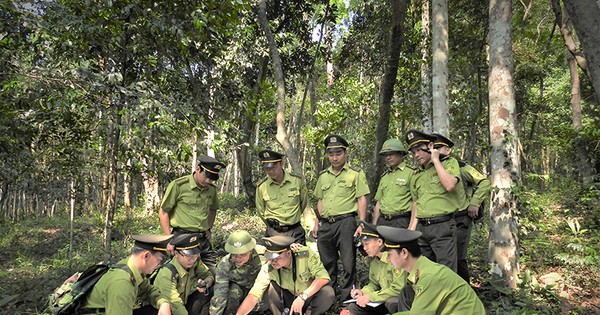 Quảng Bình lập Trung tâm Bảo vệ rừng và di sản thế giới