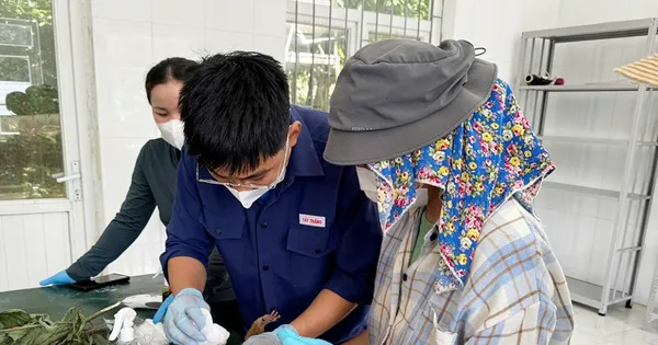 Quảng Bình: Tiếp nhận và cứu hộ 2 cá thể động vật quý hiếm bị thương nặng