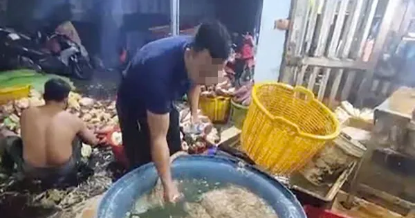 Phát hiện 3 cơ sở ở TPHCM dùng hóa chất để tẩy trắng bắp chuối