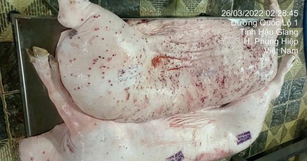 Sóc Trăng kiểm tra cơ sở kinh doanh thịt heo C.P Việt Nam sau phản ánh gây xôn xao