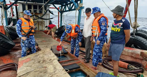 Lại bắt tàu cá chở dầu lậu trên biển Tây Nam