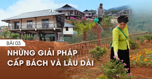 Nỗi lo 'Sơn thần' nổi giận - Bài 3: Những giải pháp cấp bách và lâu dài
