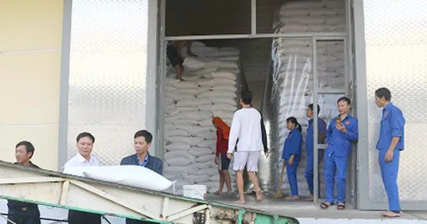 tienphong.vn