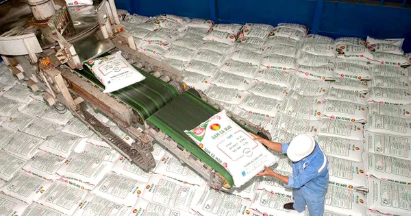 Giá phân bón có thể sắp tăng