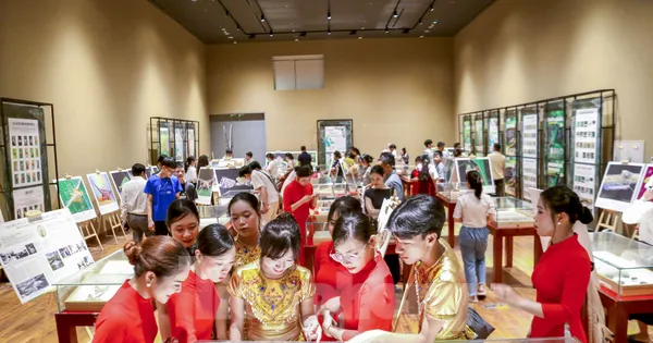 Bạn trẻ thích thú khám phá thế giới côn trùng tại Bảo tàng Đà Nẵng