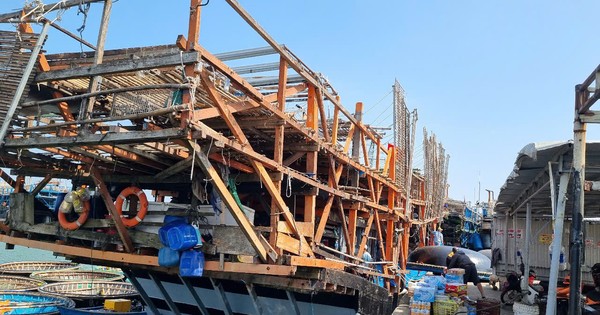 Chủ tàu cá ở Quảng Nam bị phạt 400 triệu đồng vì mất tín hiệu giám sát hành trình