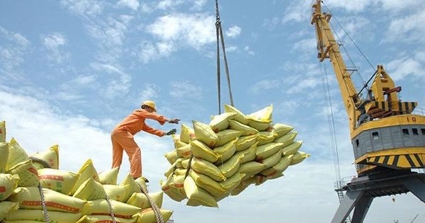 Gạo Việt xuất khẩu lấy lại vị thế ‘đắt giá nhất thế giới’