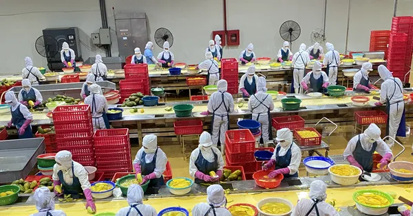 Khánh thành dây chuyền bao bì giấy đầu tiên tại Việt Nam