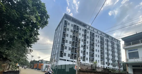 tienphong.vn