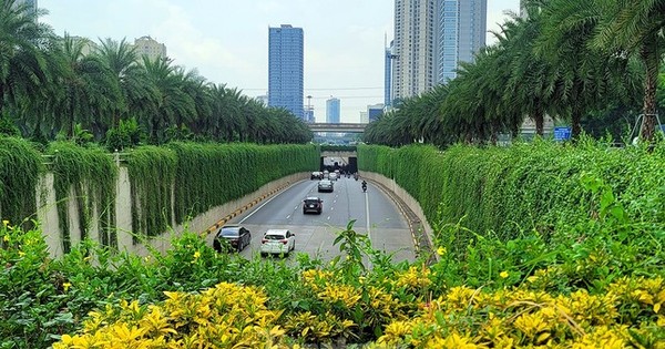 Xu hướng phát triển của bất động sản xanh tại Việt Nam