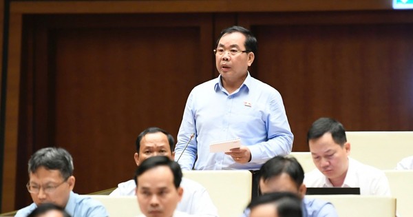 Đại biểu Quốc hội: Rất khó để quy định 'gợi ý' học thêm trong Luật Nhà giáo
