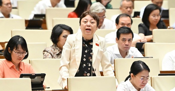 Đại biểu Quốc hội: Thanh tra bị 'trói tay, trói chân' rất nhiều